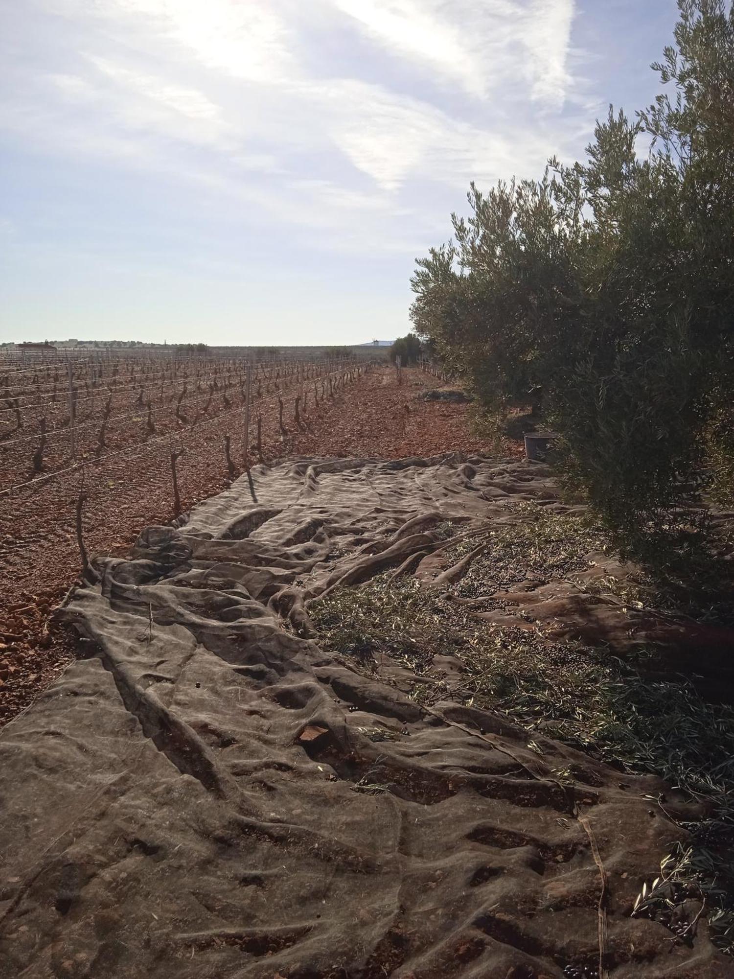 Casa Rural Senorio De Quevedo Villanueva De Los Infantes Dış mekan fotoğraf