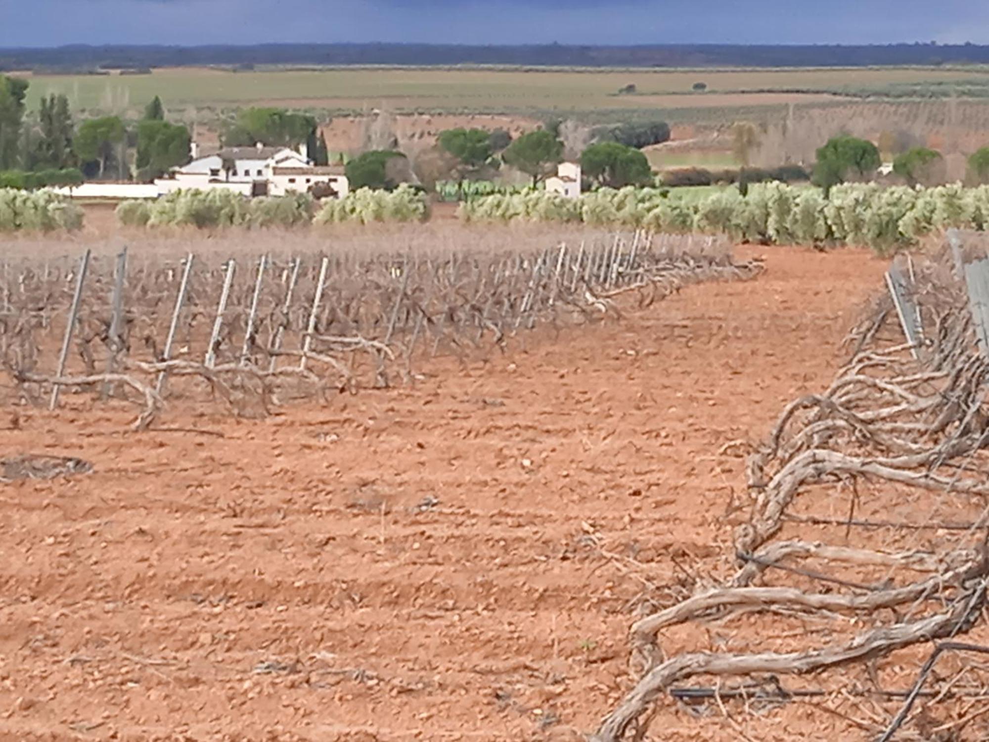 Casa Rural Senorio De Quevedo Villanueva De Los Infantes Dış mekan fotoğraf