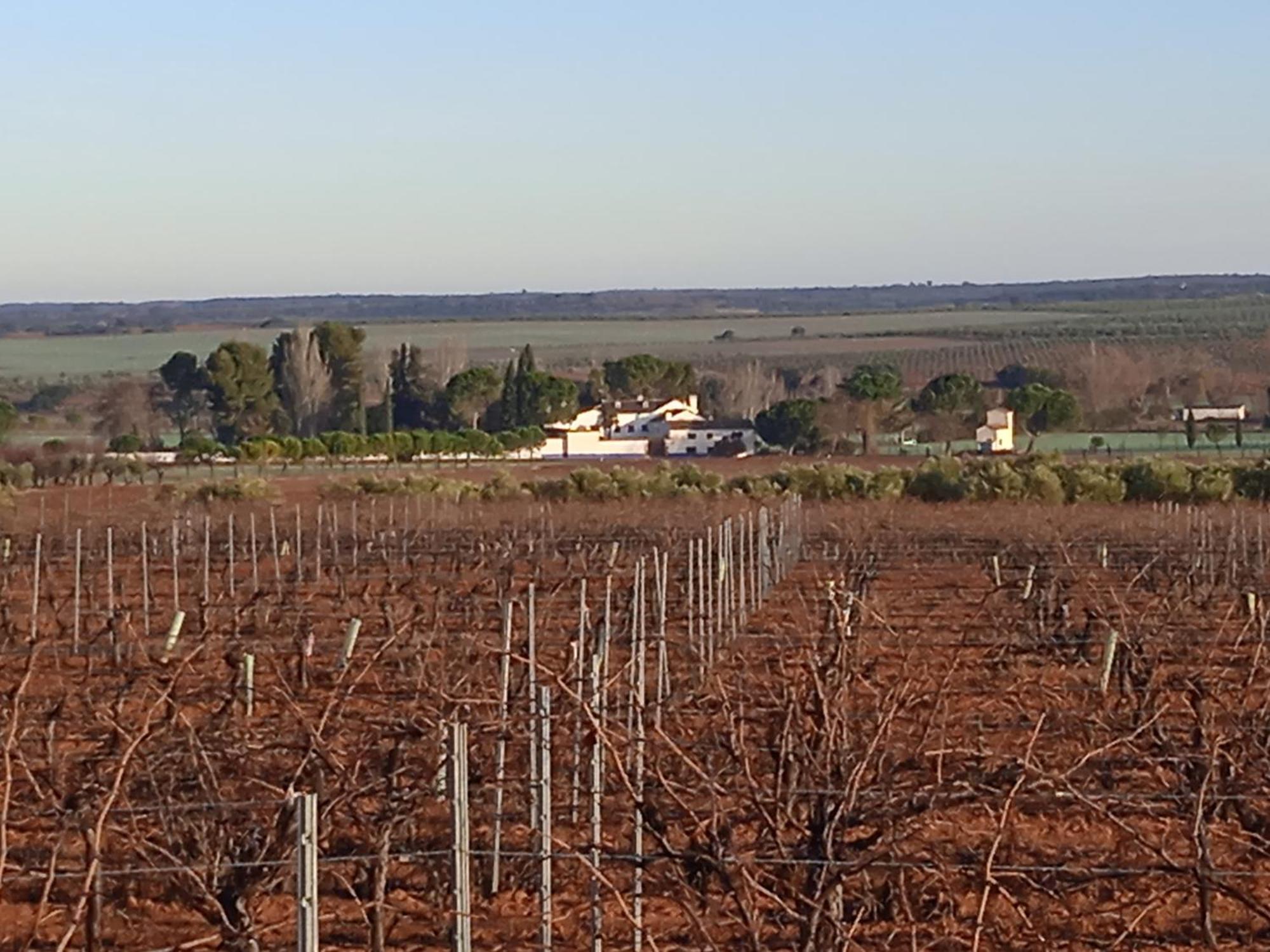 Casa Rural Senorio De Quevedo Villanueva De Los Infantes Dış mekan fotoğraf